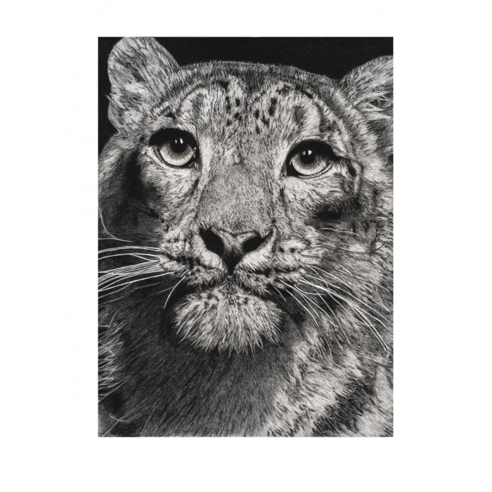 Tirage limité - Esha, La Panthère des Neiges, Ménagerie Tirage limité - Esha, La Panthère des Neiges, Ménagerie