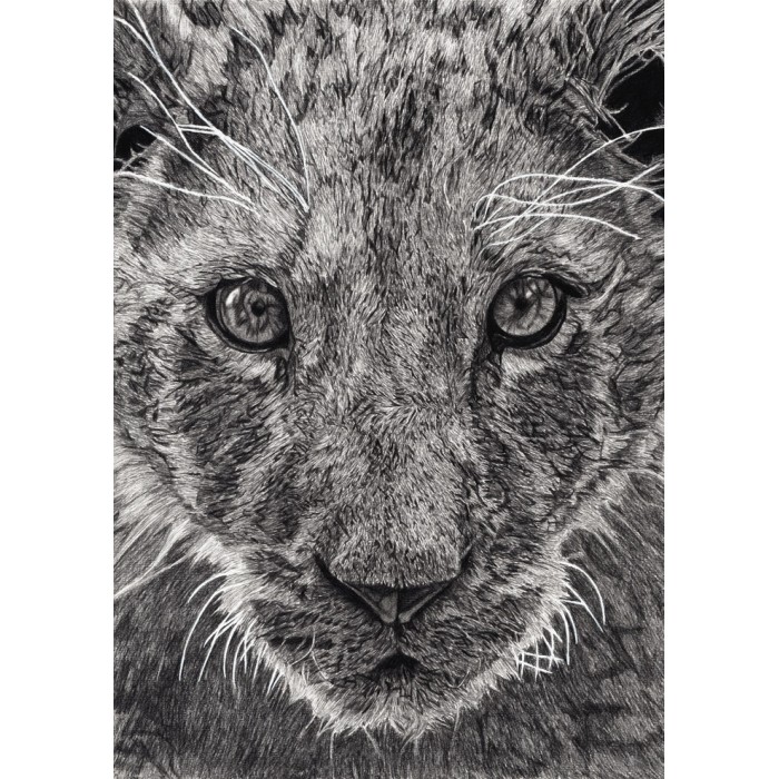Limited edition - Léo, Le Lionceau, Thoiry Limited edition - Léo, Le Lionceau, Thoiry