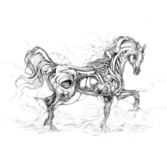 Horor - Horse Study 1