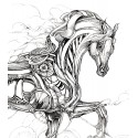 Horor - Horse Study 1