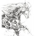 Horor - Horse Study 2