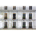 Windows 29, rue Tournon in Paris -andre-renoux-painting
