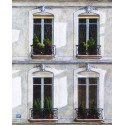 Windows 29, rue Tournon in Paris -andre-renoux-painting