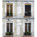 Fenêtres 29, rue Tournon à Paris