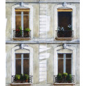 Windows 29, rue Tournon in Paris -andre-renoux-painting