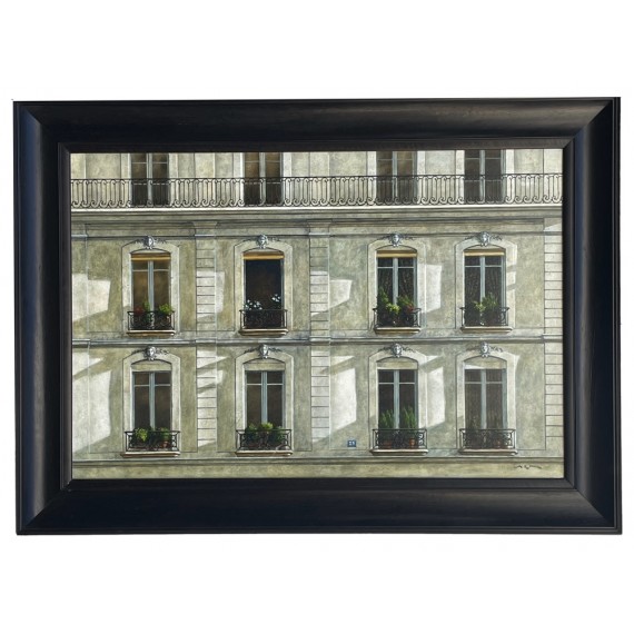 Windows 29, rue Tournon in Paris -andre-renoux-painting