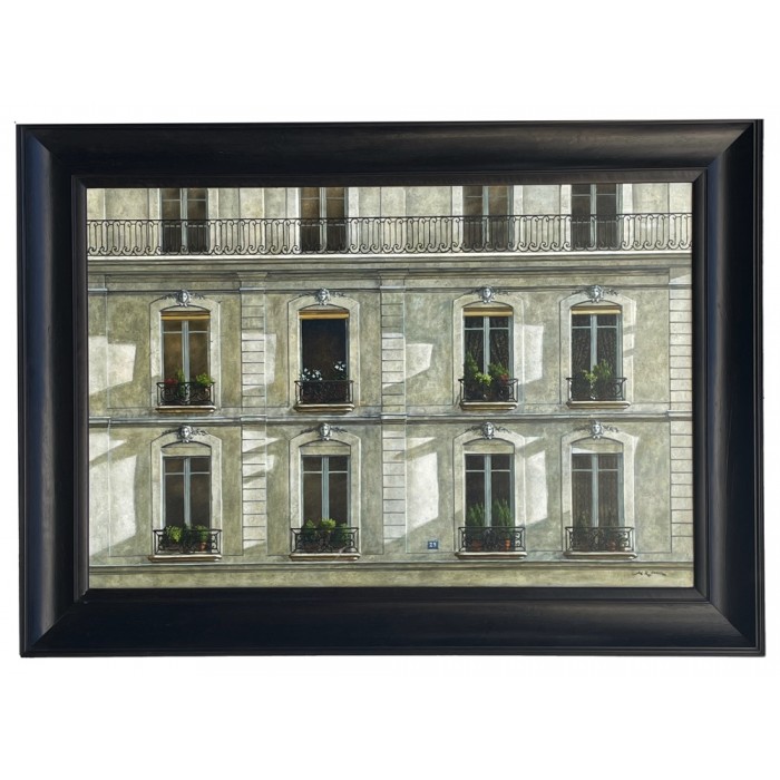 Windows 29, rue Tournon in Paris -andre-renoux-painting