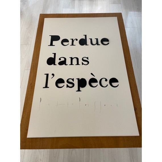 Perdue dans l'espèce
