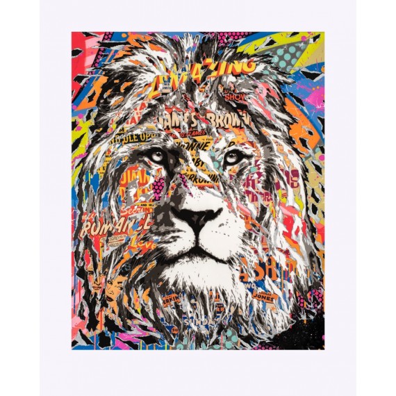 « Amazing Lion »