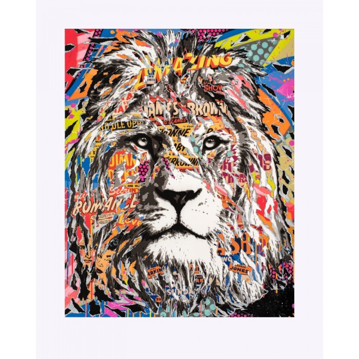 « Amazing Lion » « Amazing Lion »