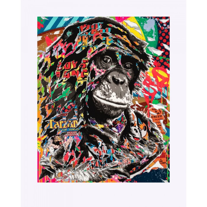 « Amelove’s monkey » « Amelove’s monkey »
