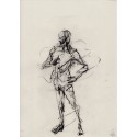 Homomotus - Drawing - HOMOMOTUS 2