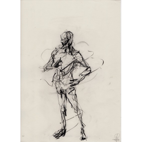 Homomotus - Drawing - HOMOMOTUS 2