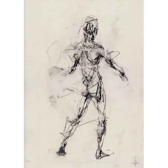 Homomotus - Drawing - HOMOMOTUS 3