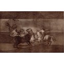 La mort de Pepe-Illo par  Francisco de Goya y Lucientes 