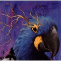 Parvati - Limited edition - Blue parrot