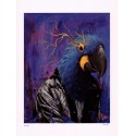 Parvati - Limited edition - Blue parrot