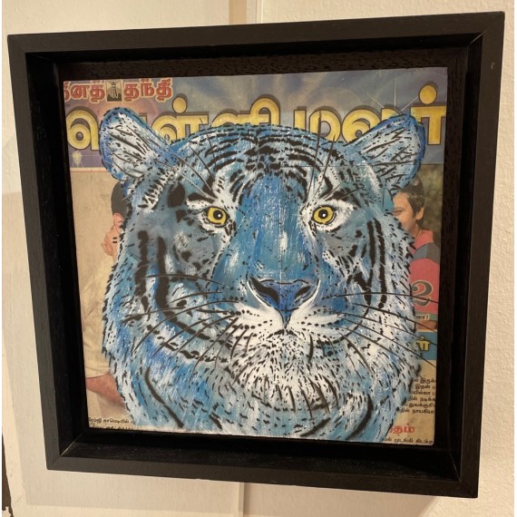 Mosko - Tigre Bleu