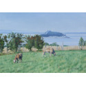 The Cows and the ilot de Tombelaine, Baie du Mont Saint-Michel