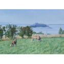 Les vaches et l'ilot de Tombelaine, Baie du Mont Saint-Michel