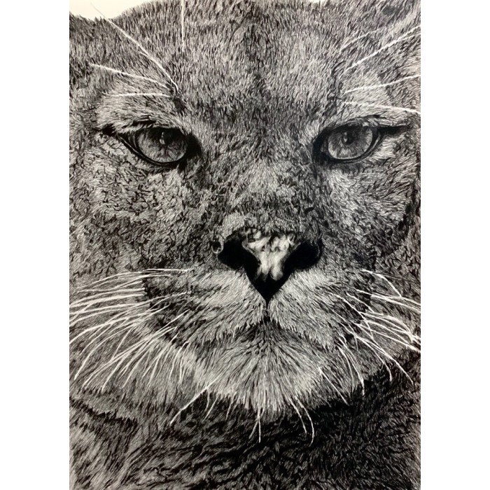 Original drawing -  Maceo, le Cougar