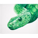 Dessin - Kaa, le serpent original-drawing-kaa-le-serpent alexis-raoult