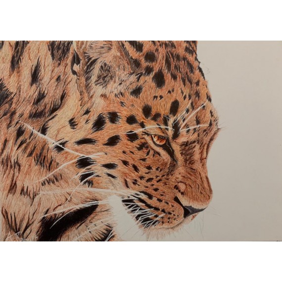Original drawing -  Oslaw, Le Jaguar