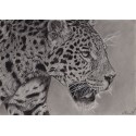 Original drawing -  Simara, le jaguar