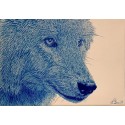 Original drawing - Arctique, le loup