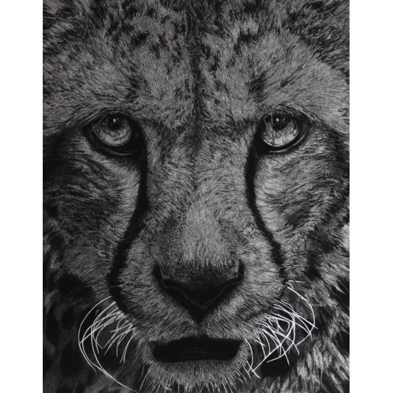 Original drawing -  Olympe, le cheetah