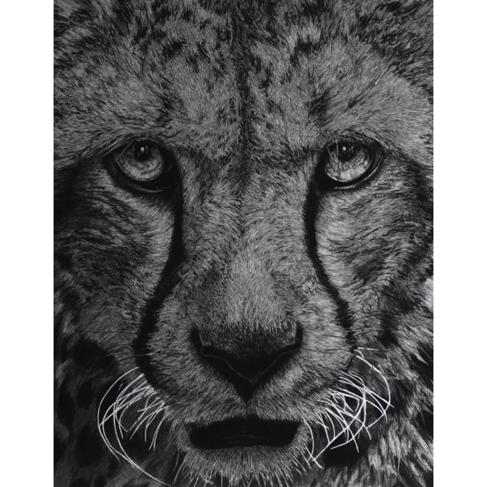 Original drawing - Olympe, le cheetah Original drawing - Olympe, le cheetah