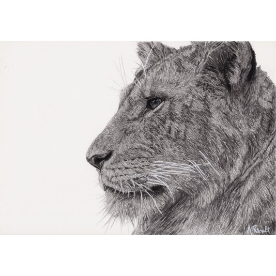 Original drawing -  Lewa la Lionne