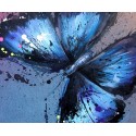 Morpho ( papillon ) -butterfly-henry-blache