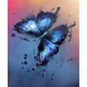 Morpho ( papillon ) -butterfly-henry-blache