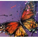 Le Monarque ( papillon ) morpho-papillon-butterfly-henry-blache