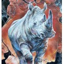 Le Rhinocéros Zawadi by Anagruz