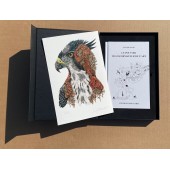 BOX - ARDIF - 1 Digigraphy and 1 Book  Le pouvoir transformateur de l'art Xavier Pavie