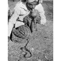 Le charmeur de serpent – Les Bhils, Inde, 1968