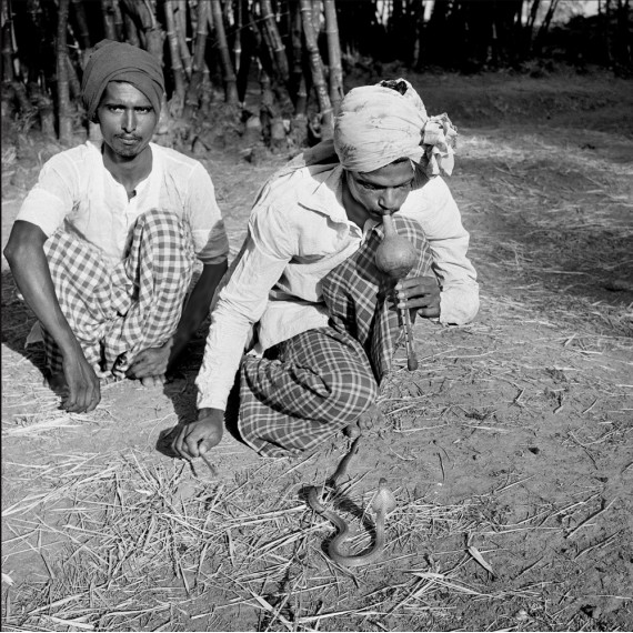 Le charmeur de serpent – Les Bhils, Inde, 1968