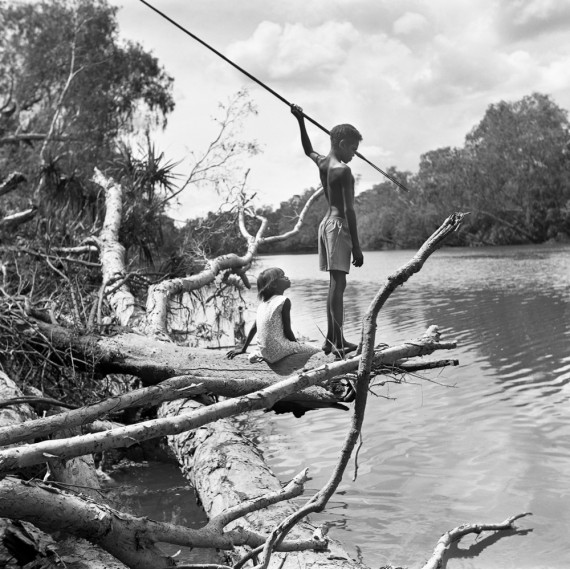 “Spear Fishing” – The Gubabingus, Australia
